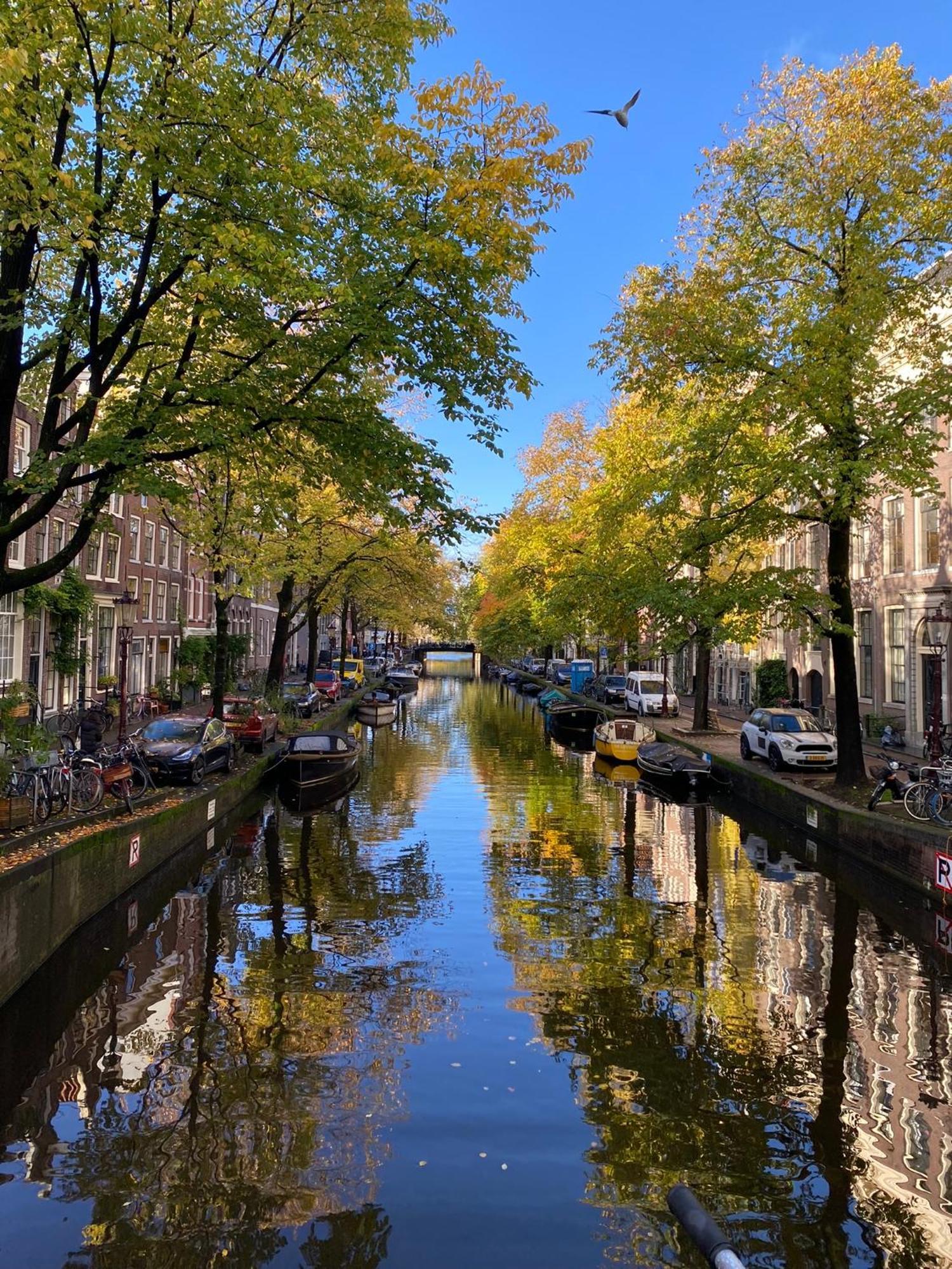 Chez Sybi Hotel Amsterdam Luaran gambar
